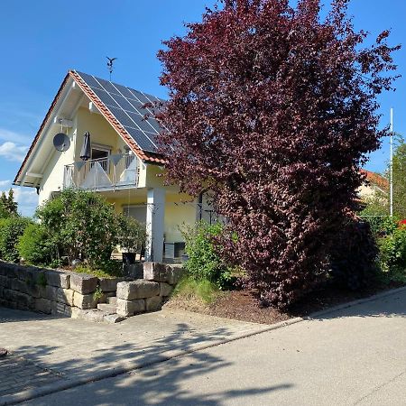Ferienwohnung Messmer Mit Terrasse Heiligenborn Esterno foto
